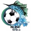 都柏林FC